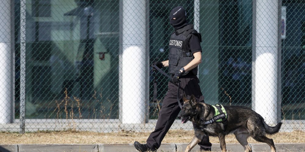 a picture of a customs office walking with a police dog